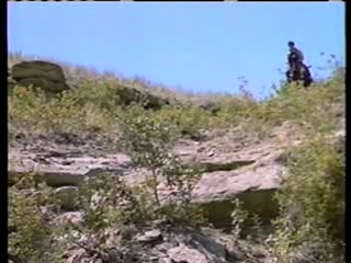 Swamp Buggy Queen,  Far and Away