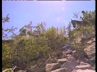 Swamp Buggy Queen,  Far and Away