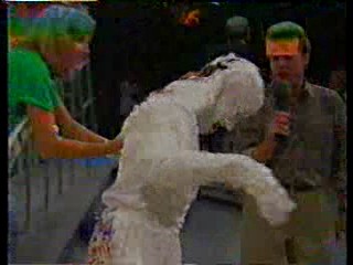 What Would You Do Pie Slide