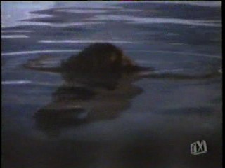 Vega$, Fantasy Island