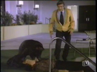 Vega$, Fantasy Island