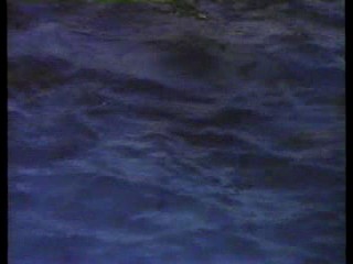 Vega$, Fantasy Island