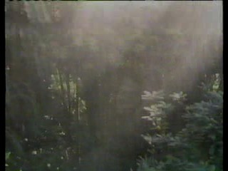 You Asked For It,  Yellow Sky