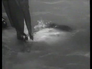 You Asked For It,  Yellow Sky