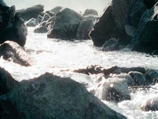 Aquaclean ad - Becker