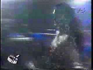 Swamp Buggy Queen Dunks (2),  Central Park West,  Don't Forget  Your Toothbrush