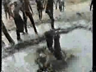 Canadian TV show, mud tug- o- war