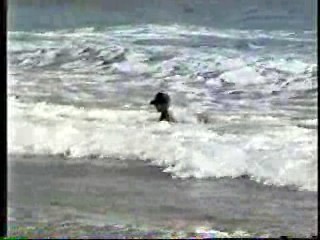 Step by Step,  Wet Blouse model