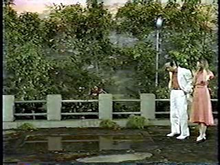 Japanese comedy show - wetlook and pies