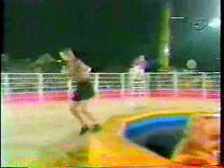 Intervilles, The Dukes of Hazzard,  and Jerry Springer