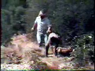 Intervilles, The Dukes of Hazzard,  and Jerry Springer