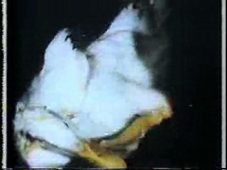 The Irish R.M.; Dad, Can I Borrow the Car