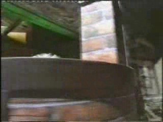 Budgie Killer Gunged (NHP)