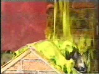 Budgie Killer Gunged (NHP)