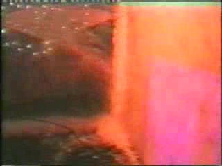 Kirsten Gunged (NHP)