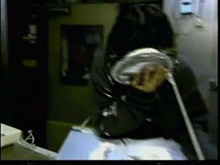 Japanese comedy show.