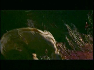 Mr Natwarlal (1979) (Male WAM)