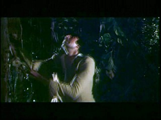 Mr Natwarlal (1979) (Male WAM)