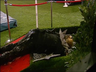 Celebrity Big Brother - Red Carpet Obstacle Course - Clip 3/6