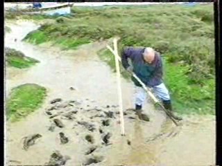 British Sex - Muck and Mud Club