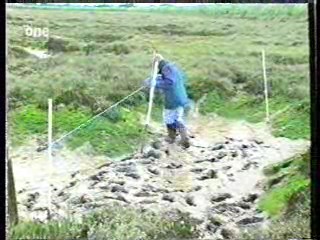 British Sex - Muck and Mud Club