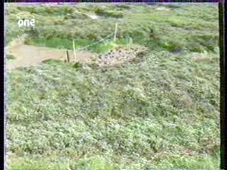 British Sex - Muck and Mud Club