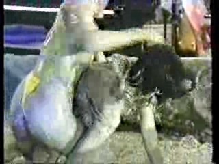 The Chris Tarrant Show