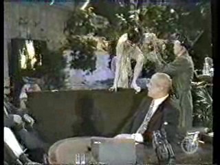 The Chris Tarrant Show