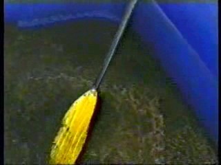 Pleasure Seekers - 1