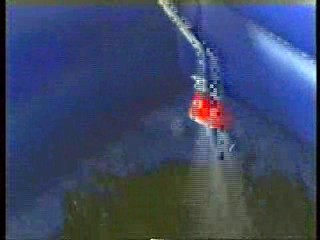 Pleasure Seekers - 1