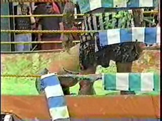 Green Slime Wrestling. #201