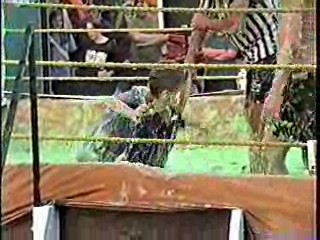 Green Slime Wrestling. #203