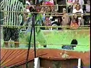 Green Slime Wrestling. #205