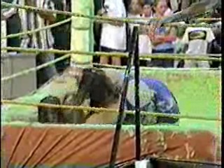 Green Slime Wrestling. #205