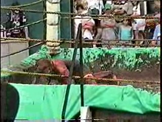 Mud Wrestling. #208