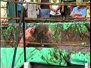 Mud Wrestling. #208