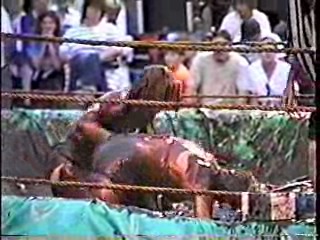 Mud Wrestling. #209