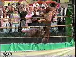 Mud Wrestling. #301
