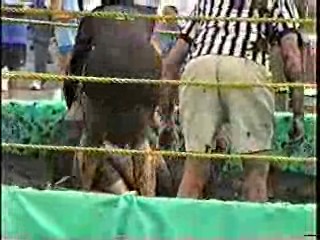 Mud Wrestling. #303