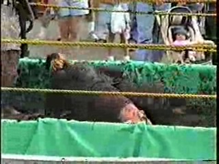 Mud Wrestling. #303