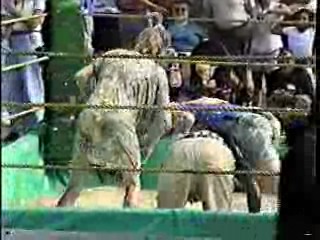 Oatmeal Wrestling #310