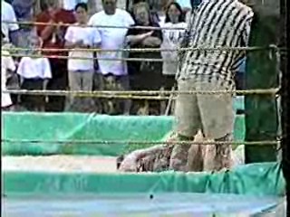 Oatmeal Wrestling #311