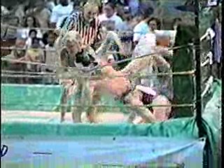 Oatmeal Wrestling #312