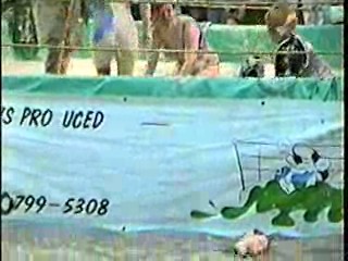 Oatmeal Wrestling #312