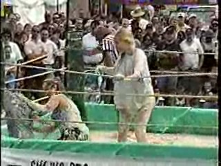 Oatmeal Wrestling #313