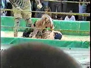 Oatmeal Wrestling #313