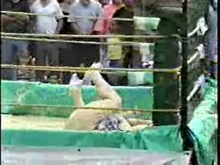 Oatmeal Wrestling #313