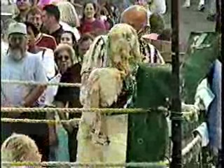 Oatmeal Wrestling #313