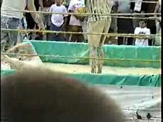 Oatmeal Wrestling #314