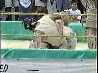 Oatmeal Wrestling #314